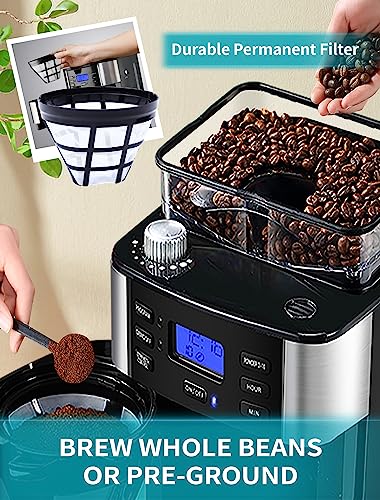 10-Cup Drip Coffee Maker, Brew Automatic Coffee Machine with Built-In Burr Coffee Grinder, Programmable Timer Mode and Keep Warm Plate, 1.5L Large Capacity Water Tank, Removable Filter Basket, 900W