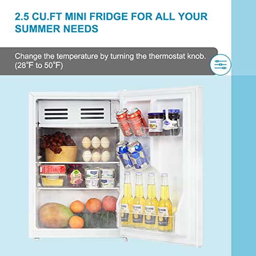 Frestec 2.5 CU' Mini Refrigerator, Small Refrigerator, Mini Fridge with Freezer, Compact Refrigerator, White (FR 250 WH)