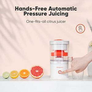 EASEHOLD Electric Citrus Juicer, Portable Juicer Rechargeable with 2 Juicer Cones and USB, Orange Juice Squeezer for Lemon, Lime, Grapefruit - Automatic Electric Fruit Juicer Machine Hands-Free, 1-Button Easy Press