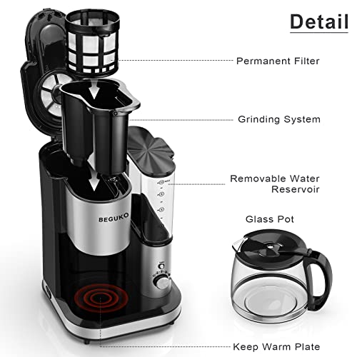 Grind & Brew 10 Cup Coffeemaker Automatic Coffee Maker with Grinder Built in Coffee Machine with Grinder Mill and Brew Coffeemaker with Glass Carafe for Family Home Office Kitchen