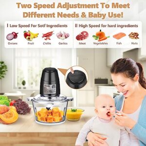 AOSION Electric Food Processor,8 Cup food Chopper,Vegetable Chopper & Meat grinder 350W with 2L Glass Bowl Grinder with 2 Speed for Baby Food/Meat/Fruits/Nuts.