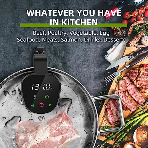 Zionheat Sous Vide Machine-Suvee Cooker Precision Cooker Sous Vide-1000W Fast Heating Thermal Immersion,Digital Touch Screen,With Accurate Temperature and Timer Circulator Precise Stainless Steel Cooker