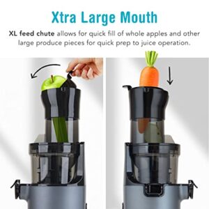 Shine SJX-1 Easy Cold Press Juicer with XL Feed Chute and Compact Body, Gray