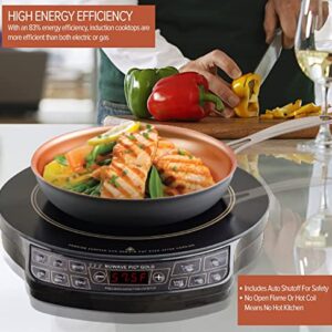 Nuwave (Renewed) Gold Precision Induction Cooktop, Portable, Large 8” Heating Coil, 12” Shatter-Proof Ceramic Glass Surface, 51 Temp Settings from 100°F - 575°F, 3 Watt Settings 600, 900, & 1500 Watts
