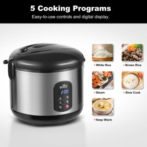 Willz Rice Cooker, Slow Cooker, Food Steamer & Warmer, 12 Cup Cooked/ 6 Cup Uncooked, with 5 Preset Programs, Non Stick Bowl & Steam Basket, Stainless Steel