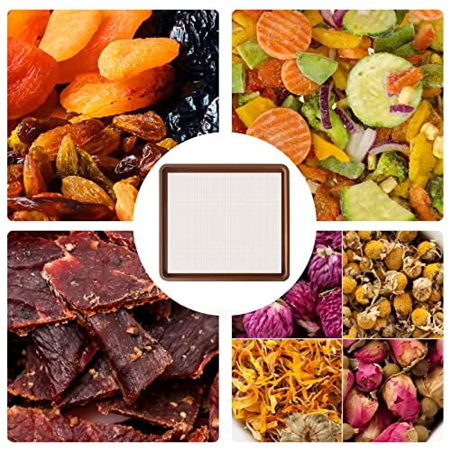 10PCS Silicone Dehydrator Sheets with Edge, Nonstick Silicone Dehydrator Trays Compatible with Cosori CP267-FD，Multi-purpose Reusable Fruit Leather Trays for Jerky, Fruit, Meat, Herbs, Vegetables