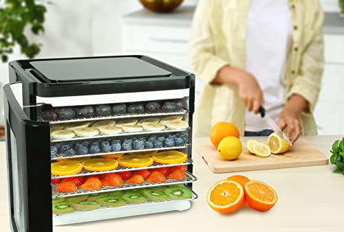 Nebula Food Dehydrator with 6 Stainless Steel Trays, LED Touch Control Design, Adjustable Digital Temperature 35-70C and 48 Hour Timer, Food Dryer for Fruit, Veg, Meat, Mushroom, Herb, Seed