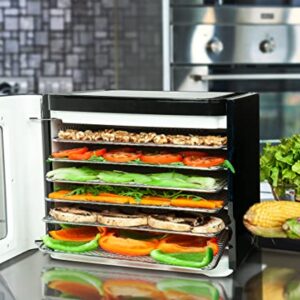 Nebula Food Dehydrator with 6 Stainless Steel Trays, LED Touch Control Design, Adjustable Digital Temperature 35-70C and 48 Hour Timer, Food Dryer for Fruit, Veg, Meat, Mushroom, Herb, Seed