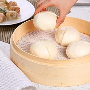 Bluedrop Pack of 5 Premium Non Stick Silicone Dehydrator Sheets For Fruit Dryer Mesh Dim Sum Mesh Dumpling Steaming Screen Mat