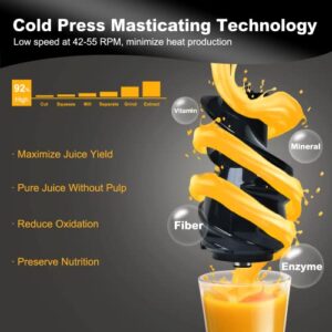 LynTorin Cold Press Juicer Machine, Slow Juicer Cold Press with 3.2" Wide Feed Chute, 200W Slow Masticating Juicer Machine for Vegetable and Fruit, Juicer Machine for Home Use with Brush, Easy to Clean