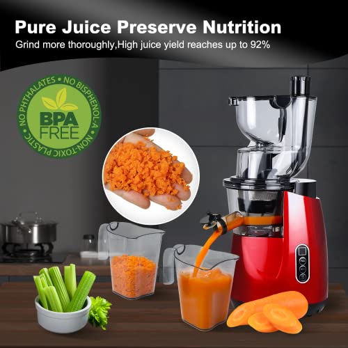 LynTorin Cold Press Juicer Machine, Slow Juicer Cold Press with 3.2" Wide Feed Chute, 200W Slow Masticating Juicer Machine for Vegetable and Fruit, Juicer Machine for Home Use with Brush, Easy to Clean