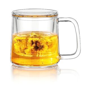 copotea glass teacup with glass infuser and lid, 14.5oz/ 430ml borosilicate glass tea mug for warmer safe, clear teacup for loose leaf tea, blooming tea