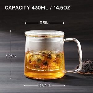 COPOTEA Glass TeaCup with Glass Infuser and Lid, 14.5oz/ 430ml Borosilicate Glass Tea Mug for Warmer Safe, Clear Teacup for Loose Leaf Tea, Blooming Tea