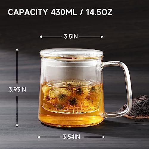 COPOTEA Glass TeaCup with Glass Infuser and Lid, 14.5oz/ 430ml Borosilicate Glass Tea Mug for Warmer Safe, Clear Teacup for Loose Leaf Tea, Blooming Tea