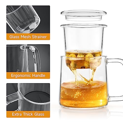 COPOTEA Glass TeaCup with Glass Infuser and Lid, 14.5oz/ 430ml Borosilicate Glass Tea Mug for Warmer Safe, Clear Teacup for Loose Leaf Tea, Blooming Tea