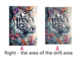 5D Diamond Art Painting Kits, Diamond Art Kits for Adults and Kids, Full Drill Diamond Rhinestone Arts Craft Picture Embroidery Painting by Numbers for Home Wall Decor, 11.8 x 15.75 inch (White tiger)