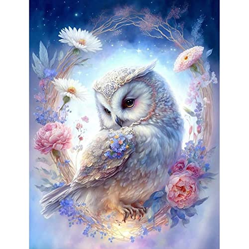 VeGuude Diamond Painting Kits for Adults, Owl 5D Diamond Art Kits, Full Drill DIY Crafts for Adults Home Wall Decor Gift Diamond Dots [11.8x15.7inch]