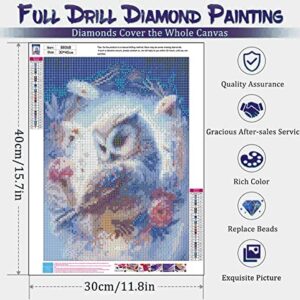 VeGuude Diamond Painting Kits for Adults, Owl 5D Diamond Art Kits, Full Drill DIY Crafts for Adults Home Wall Decor Gift Diamond Dots [11.8x15.7inch]