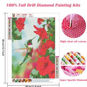HSENJT DIY 5D Diamond Craft Painting Kits Bird,Flowers Diamond Art for Adults Kids,Hummingbird Full Drill Diamond Arts Crafts for Wall Decor Gift Relaxation 12x16 Inch