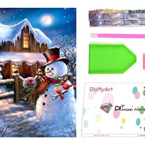 DoMyArt Diamond Painting Kits for Adults, Paint with 5D Crystal Diamonds Art with Accessories Tools(Canvas 15.7 x 11.8 inch) (Christmas Snowman)