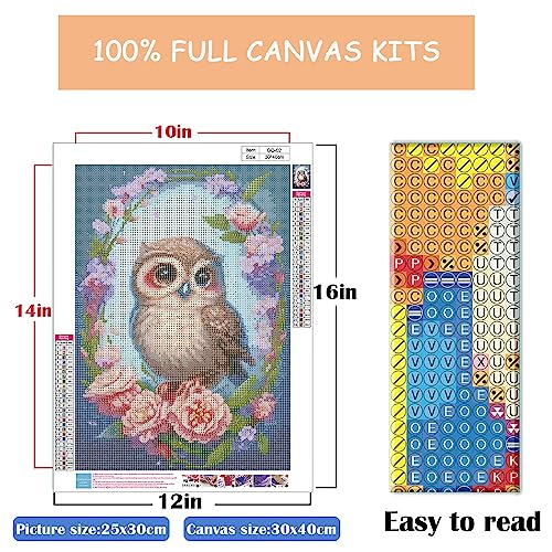 Eterkosu Owl Diamond Painting Kits for Adults Beginners - 5D Animals Full Drill Round Diamond Art Kits Diamond Dots Paintings with Diamonds Rose Flowers Gem Art Rhinestones Picture Crafts Home Decor