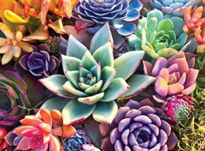 succulent diamond painting kits for adults - 5d diamond art kits for adults kids beginner,diy flowers full drill paintings with diamonds gem art for adults home wall decor 11.8x15.7inch