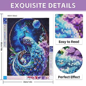 Buewutiry Peacock Diamond Painting Kits for Adults, DIY 5D Full Drill Diamond Art Kit for Adults Beginner, Diamond Dots Painting Craft for Home Wall Decor 12x16 Inch (Peacock)