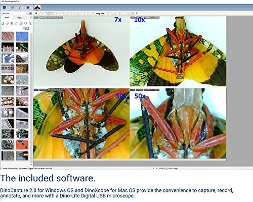Dino-Lite USB Digital Microscope AM2111-0.3MP, 10x - 50x, 230x Optical Magnification, 4 LEDs