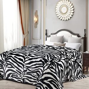 home soft things light weight animal safari style black white zebra printed flannel fleece blanket (queen)