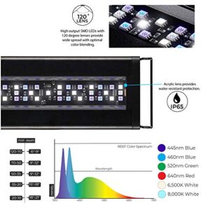 Current USA Orbit Marine LED Light, 24"-36" | With LOOP IR Controller for Wireless Lighting & Wave Pump Control (4101)