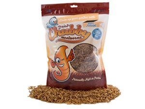 chubby mealworms bulk dried mealworms for wild birds, chickens etc. (2lbs)
