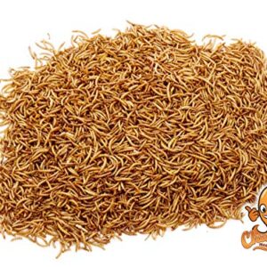 Chubby Mealworms Bulk Dried Mealworms for Wild Birds, Chickens etc. (2Lbs)