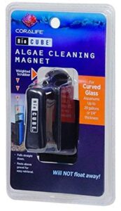 biocube algae cleaning magnet