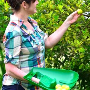 ReLeaf Leaf Scoops: Ergonomic, Large Hand Held Rakes for Fast Leaf & Lawn Grass Removal