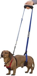 gingerlead dog sling hip support harness, x-small fits little pets under 25 lbs and dachshunds with ivdd, spinal disc disease, or back injuries. assist elderly, paralyzed, or recovering pets.
