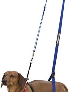 GINGERLEAD Dog Sling Hip Support Harness, X-Small Fits Little Pets Under 25 lbs and Dachshunds with IVDD, Spinal Disc Disease, or Back Injuries. Assist Elderly, Paralyzed, or Recovering Pets.