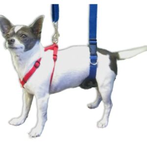 GINGERLEAD Dog Sling Hip Support Harness, X-Small Fits Little Pets Under 25 lbs and Dachshunds with IVDD, Spinal Disc Disease, or Back Injuries. Assist Elderly, Paralyzed, or Recovering Pets.