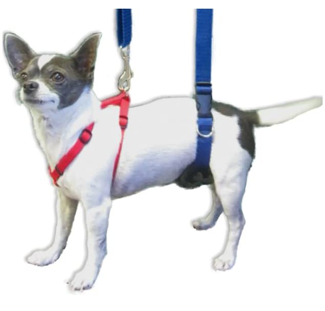 GINGERLEAD Dog Sling Hip Support Harness, X-Small Fits Little Pets Under 25 lbs and Dachshunds with IVDD, Spinal Disc Disease, or Back Injuries. Assist Elderly, Paralyzed, or Recovering Pets.