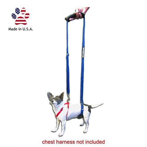 GINGERLEAD Dog Sling Hip Support Harness, X-Small Fits Little Pets Under 25 lbs and Dachshunds with IVDD, Spinal Disc Disease, or Back Injuries. Assist Elderly, Paralyzed, or Recovering Pets.