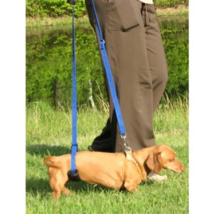 GINGERLEAD Dog Sling Hip Support Harness, X-Small Fits Little Pets Under 25 lbs and Dachshunds with IVDD, Spinal Disc Disease, or Back Injuries. Assist Elderly, Paralyzed, or Recovering Pets.