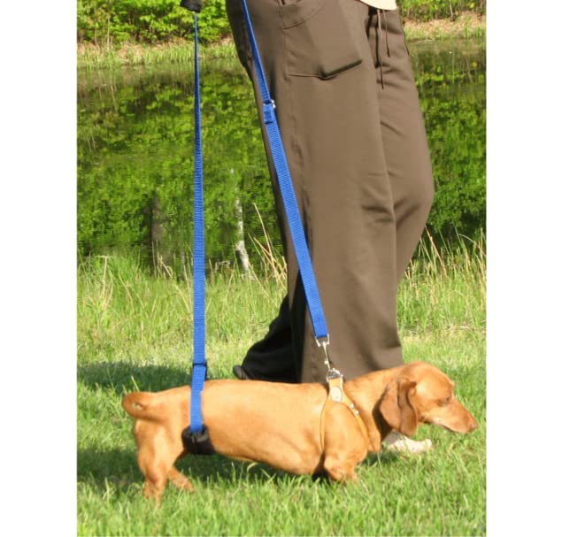 GINGERLEAD Dog Sling Hip Support Harness, X-Small Fits Little Pets Under 25 lbs and Dachshunds with IVDD, Spinal Disc Disease, or Back Injuries. Assist Elderly, Paralyzed, or Recovering Pets.