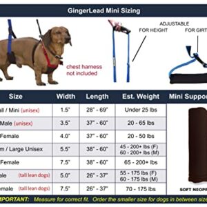 GINGERLEAD Dog Sling Hip Support Harness, X-Small Fits Little Pets Under 25 lbs and Dachshunds with IVDD, Spinal Disc Disease, or Back Injuries. Assist Elderly, Paralyzed, or Recovering Pets.