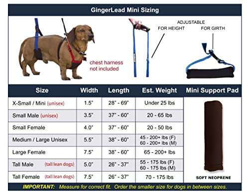 GINGERLEAD Dog Sling Hip Support Harness, X-Small Fits Little Pets Under 25 lbs and Dachshunds with IVDD, Spinal Disc Disease, or Back Injuries. Assist Elderly, Paralyzed, or Recovering Pets.