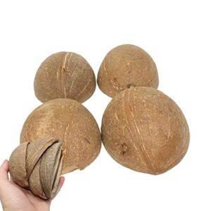 bonka bird toys 1031 pk4 half shell coconuts natural forage chewing party arts craft parrot macaw african grey