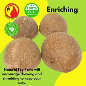 Bonka Bird Toys 1031 Pk4 Half Shell Coconuts Natural Forage Chewing Party Arts Craft Parrot Macaw African Grey