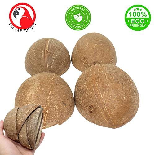 Bonka Bird Toys 1031 Pk4 Half Shell Coconuts Natural Forage Chewing Party Arts Craft Parrot Macaw African Grey