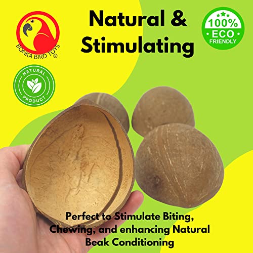 Bonka Bird Toys 1031 Pk4 Half Shell Coconuts Natural Forage Chewing Party Arts Craft Parrot Macaw African Grey