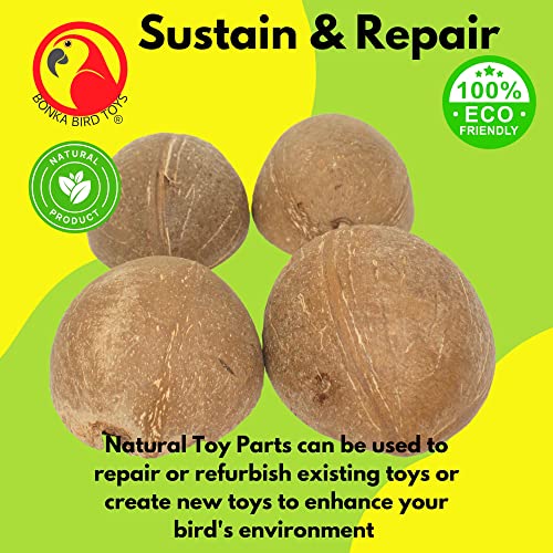 Bonka Bird Toys 1031 Pk4 Half Shell Coconuts Natural Forage Chewing Party Arts Craft Parrot Macaw African Grey