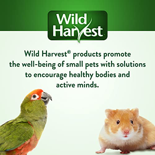 Wild Harvest Chew and Jingle for Cockatiels, Parakeets, Finches and Caged Birds, 1 Count, Toy Made with Real Wood Materials