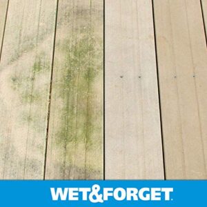 Set of 2 Wet and Forget Moss, Mildew and Algae Stain Remover